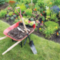 Tips to Get Your Yard Summer-Ready