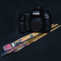 Living the Sweet Life: To My Camera, I Wish to Say Deep Thanks!