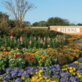 Sienna Plantation Wins Community of the Year