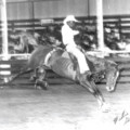A History of Diversity George Ranch Honors Black Cowboy Legacy at First Annual Rodeo