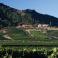Eleven Great Wineries