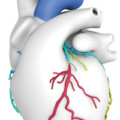 Houston Methodist Sugar Land Hospital Now Using Heartflow Advanced 3D Imaging to Better Diagnose Coronary Artery Disease