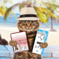 What’s Trending in Travel: Pets on Board