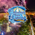 Sugar Land to Host Winter Wonderland-Themed Christmas Tree Lighting